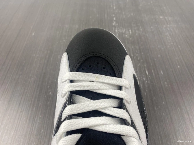Cheap TB 6 Jordan 384664-101 Oreo Retro 0718